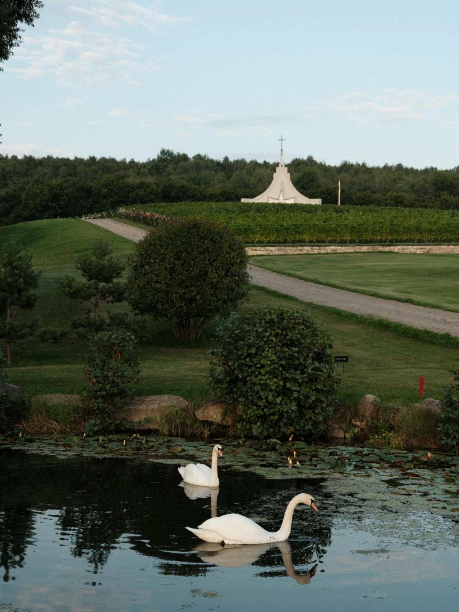 Edem Resort Medical & Spa Strelki  Exteriör bild
